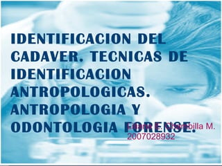 IDENTIFICACION DEL CADAVER. TECNICAS DE IDENTIFICACION ANTROPOLOGICAS. ANTROPOLOGIA Y ODONTOLOGIA FORENSE.   Liliana E. Chambilla M. 2007028932 