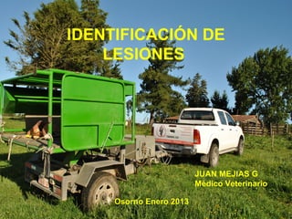 IDENTIFICACIÓN DE
LESIONES
JUAN MEJIAS G
Médico Veterinario
Osorno Enero 2013
 
