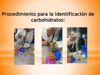 Procedimiento para la identificación de
carbohidratos:
 