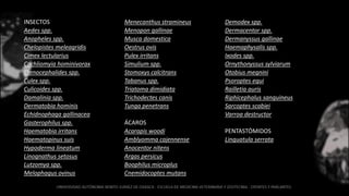 INSECTOS
Aedes spp.
Anopheles spp.
Chelopistes meleagridis
Cimex lectularius
Cochliomyia hominivorax
Ctenocephalides spp.
Culex spp.
Culicoides spp.
Damalinia spp.
Dermatobia hominis
Echidnophaga gallinacea
Gasterophilus spp.
Haematobia irritans
Haematopinus suis
Hypoderma lineatum
Linognathus setosus
Lutzomya spp.
Melophagus ovinus
Menecanthus stramineus
Menopon gallinae
Musca domestica
Oestrus ovis
Pulex irritans
Simulium spp.
Stomoxys calcitrans
Tabanus spp.
Triatoma dimidiata
Trichodectes canis
Tunga penetrans
ÁCAROS
Acarapis woodi
Amblyomma cajennense
Anocentor nitens
Argas persicus
Boophilus microplus
Cnemidocoptes mutans
Demodex spp.
Dermacentor spp.
Dermanyssus gallinae
Haemaphysalis spp.
Ixodes spp.
Ornythonyssus sylviarum
Otobius megnini
Psoroptes equi
Railletia auris
Riphicephalus sanguineus
Sarcoptes scabiei
Varroa destructor
PENTASTÓMIDOS
Linguatula serrata
 
