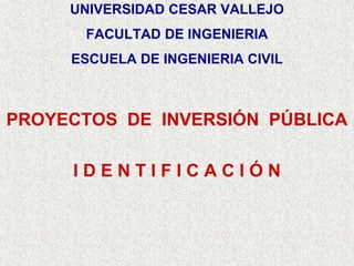 UNIVERSIDAD CESAR VALLEJO
FACULTAD DE INGENIERIA
ESCUELA DE INGENIERIA CIVIL
PROYECTOS DE INVERSIÓN PÚBLICA
I D E N T I F I C A C I Ó N
 