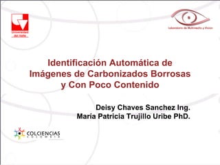 Identificación Automática de
Imágenes de Carbonizados Borrosas
      y Con Poco Contenido

              Deisy Chaves Sanchez Ing.
         María Patricia Trujillo Uribe PhD.
 