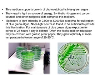 • This medium supports growth of photoautotrophic blue green algae .
• They require light as source of energy. Synthetic nitrogen and carbon
sources and other inorganic salts comprise this medium.
• Exposure to light intensity of 2,000 to 3,000 lux is optimal for cultivation
of blue green algae. Neon light source is found to be sufficient to provide
this illumination. For maintenance of blue green algae exposure for
period of 24 hours a day is optimal .Often the flasks kept for incubation
may be covered with grease proof paper. They grow optimally at room
temperature between range of 20-25°C.
 
