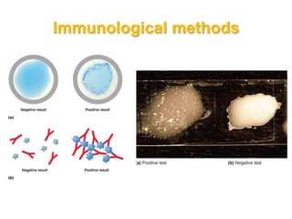 Immunological methods
 