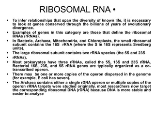 RIBOSOMAL RNA •
 To infer relationships that span the diversity of known life, it is necessary
to look at genes conserved through the billions of years of evolutionary
divergence.
 Examples of genes in this category are those that define the ribosomal
RNAs (rRNAs).
 In Bacteria, Archaea, Mitochondria, and Chloroplasts, the small ribosomal
subunit contains the 16S rRNA (where the S in 16S represents Svedberg
units).
 The large ribosomal subunit contains two rRNA species (the 5S and 23S
 rRNAs).
 Most prokaryotes have three rRNAs, called the 5S, 16S and 23S rRNA.
Bacterial 16S, 23S, and 5S rRNA genes are typically organized as a co-
transcribed operon.
 There may be one or more copies of the operon dispersed in the genome
(for example, E coli has seven).
 The Archaea contains either a single rDNA operon or multiple copies of the
operon rRNA targets were studied originally, most researchers now target
the corresponding ribosomal DNA (rDNA) because DNA is more stable and
easier to analyse
 