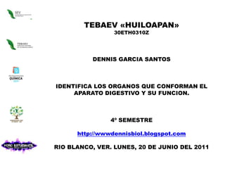 TEBAEV «HUILOAPAN» 30ETH0310Z DENNIS GARCIA SANTOS   IDENTIFICA LOS ORGANOS QUE CONFORMAN EL APARATO DIGESTIVO Y SU FUNCION. 4º SEMESTRE  http://wwwdennisbiol.blogspot.com RIO BLANCO, VER. LUNES, 20 DE JUNIO DEL 2011 