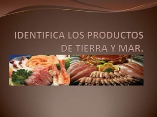IDENTIFICA LOS PRODUCTOS DE TIERRA Y MAR. 