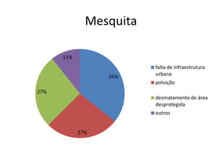 Mesquita

      11%
                         falta de infraestrutura
                  35%    urbana
                         poluição
27%
                         desmatamento de área
                         desprotegida
                         outros


            27%
 