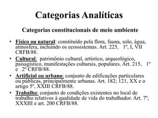 Categorias Analíticas
     Categorias constitucionais de meio ambiente
• Físico ou natural: constituído pela flora, fauna, solo, água,
  atmosfera, incluindo os ecossistemas. Art. 225, 1º, I, VII
  CRFB/88.
• Cultural: patrimônio cultural, artístico, arqueológico,
  paisagístico, manifestações culturais, populares. Art. 215, 1º
  e 2º CRFB/88.
• Artificial ou urbano: conjunto de edificações particulares
  ou públicas, principalmente urbanas. Art. 182; 121, XX e o
  artigo 5º, XXIII CRFB/88.
• Trabalho: conjunto de condições existentes no local de
  trabalho relativos à qualidade de vida do trabalhador. Art. 7º,
  XXXIII e art. 200 CRFB/88.
 