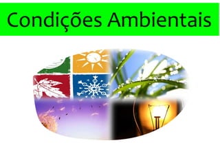 Condições Ambientais
 