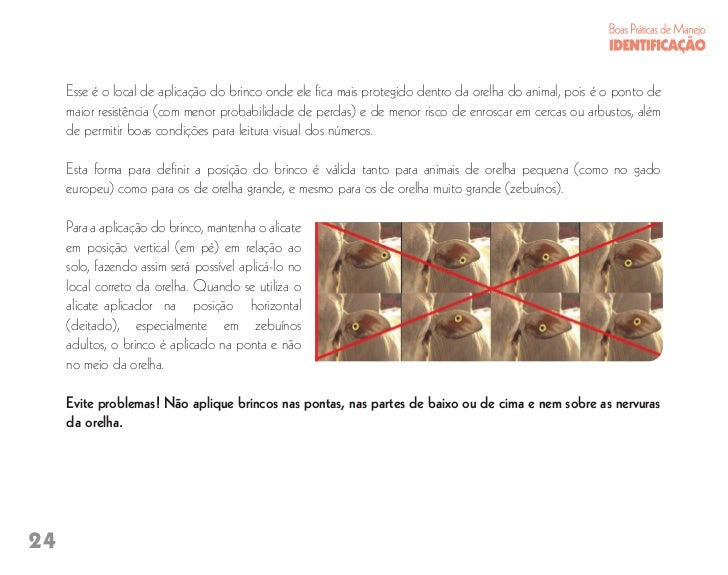 Fungo atrás de unguento de orelhas