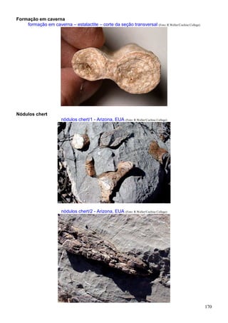 170
Formação em caverna
formação em caverna – estalactite – corte da seção transversal (Foto: R.Weller/Cochise College)
Nódulos chert
nódulos chert/1 - Arizona, EUA (Foto: R.Weller/Cochise College)
nódulos chert/2 - Arizona, EUA (Foto: R.Weller/Cochise College)
 