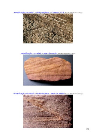 172
estratificação cruzada/3 – visão ampliada – Colorado, EUA (Foto: R.Weller/Cochise College)
estratificação cruzada/4 – seixo de arenito (Foto: R.Weller/Cochise College)
estratificação cruzada/5 – visão ampliada - seixo de arenito (Foto: R.Weller/Cochise College)
 