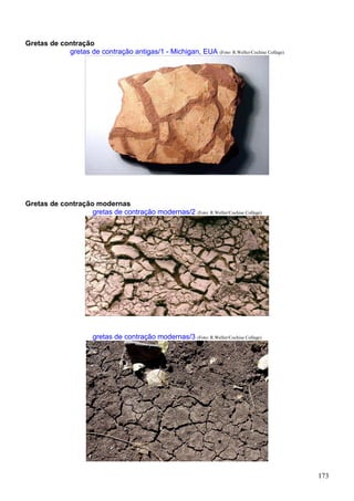 173
Gretas de contração
gretas de contração antigas/1 - Michigan, EUA (Foto: R.Weller/Cochise College)
Gretas de contração modernas
gretas de contração modernas/2 (Foto: R.Weller/Cochise College)
gretas de contração modernas/3 (Foto: R.Weller/Cochise College)
 