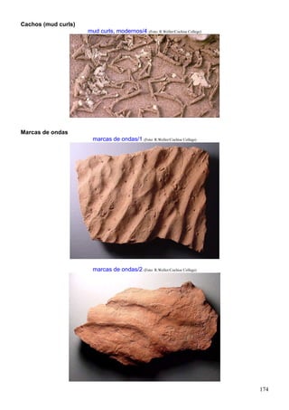 174
Cachos (mud curls)
mud curls, modernos/4 (Foto: R.Weller/Cochise College)
Marcas de ondas
marcas de ondas/1 (Foto: R.Weller/Cochise College)
marcas de ondas/2 (Foto: R.Weller/Cochise College)
 