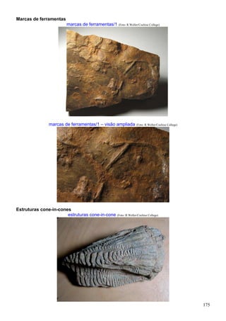175
Marcas de ferramentas
marcas de ferramentas/1 (Foto: R.Weller/Cochise College)
marcas de ferramentas/1 – visão ampliada (Foto: R.Weller/Cochise College)
Estruturas cone-in-cones
estruturas cone-in-cone (Foto: R.Weller/Cochise College)
 