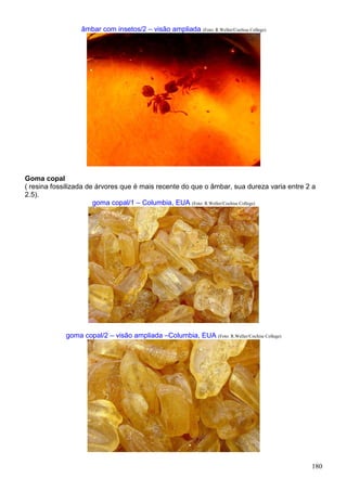 180
âmbar com insetos/2 – visão ampliada (Foto: R.Weller/Cochise College)
Goma copal
( resina fossilizada de árvores que é mais recente do que o âmbar, sua dureza varia entre 2 a
2.5).
goma copal/1 – Columbia, EUA (Foto: R.Weller/Cochise College)
goma copal/2 – visão ampliada –Columbia, EUA (Foto: R.Weller/Cochise College)
 