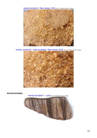 185
arenito arcósio/3 - New Jersey, EUA (Foto: R.Weller/Cochise College)
arenito, arcósio/4 – visão ampliada - New Jersey, EUA (Foto: R.Weller/Cochise College)
Arenito bandado
arenito bandado/1 – corte (Foto: R.Weller/Cochise College)
 