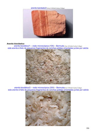 186
arenito bandado/2 (Foto: R.Weller/Cochise College)
Arenito bioclástico
arenito bioclático/1 – visão microscópica (10X) – Bermuda (Foto: R.Weller/Cochise College)
este arenito é feito de pequenos fragmentos de conchas polidas cimentadas juntas por calcita
arenito bioclático/2 – visão microscópica (30X) – Bermuda(Foto: R.Weller/Cochise College)
este arenito é feito de pequenos fragmentos de conchas polidas cimentadas juntas por calcita
 