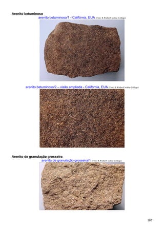 187
Arenito betuminoso
arenito betuminoso/1 - Califórnia, EUA (Foto: R.Weller/Cochise College)
arenito betuminoso/2 – visão ampliada - Califórnia, EUA (Foto: R.Weller/Cochise College)
Arenito de granulação grosseira
arenito de granulação grosseira/1 (Foto: R.Weller/Cochise College)
 