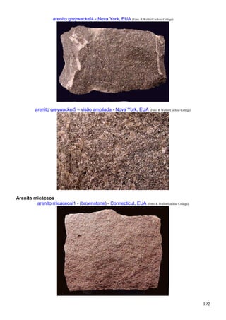 192
arenito greywacke/4 - Nova York, EUA (Foto: R.Weller/Cochise College)
arenito greywacke/5 – visão ampliada - Nova York, EUA (Foto: R.Weller/Cochise College)
Arenito micáceos
arenito micáceos/1 - (brownstone) - Connecticut, EUA (Foto: R.Weller/Cochise College)
 