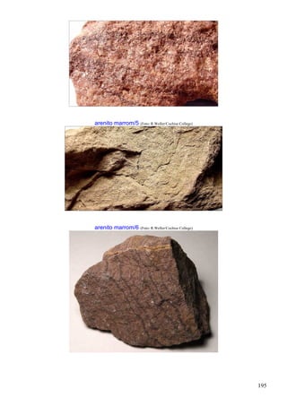 195
arenito marrom/5 (Foto: R.Weller/Cochise College)
arenito marrom/6 (Foto: R.Weller/Cochise College)
 