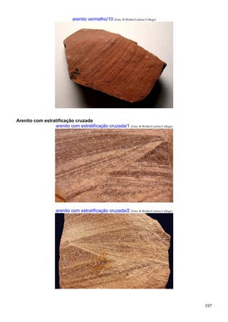 197
arenito vermelho/10 (Foto: R.Weller/Cochise College)
Arenito com estratificação cruzada
arenito com estratificação cruzada/1 (Foto: R.Weller/Cochise College)
arenito com estratificação cruzada/2 (Foto: R.Weller/Cochise College)
 