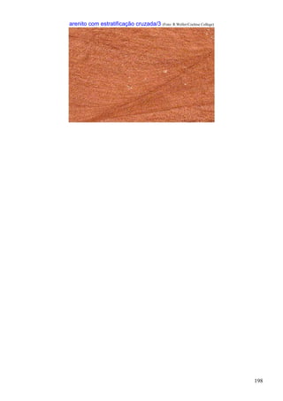 198
arenito com estratificação cruzada/3 (Foto: R.Weller/Cochise College)
 