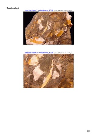 204
Brecha chert
brecha chert/1 - Oklahoma, EUA (Foto: R.Weller/Cochise College)
brecha chert/2 - Oklahoma, EUA (Foto: R.Weller/Cochise College)
 