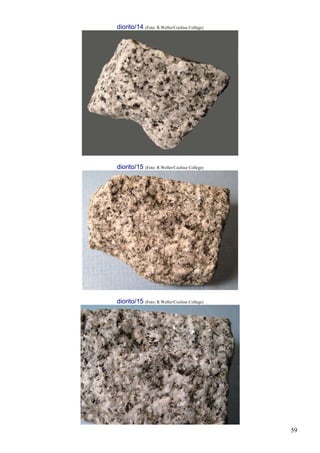 59
diorito/14 (Foto: R.Weller/Cochise College)
diorito/15 (Foto: R.Weller/Cochise College)
diorito/15 (Foto: R.Weller/Cochise College)
 