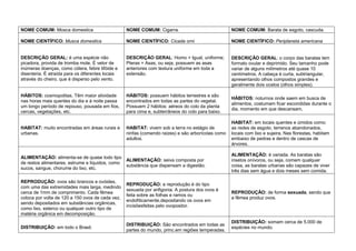 NOME COMUM: Mosca domestica NOME COMUM: Cigarra. NOME COMUM: Barata de esgoto, cascuda.
NOME CIENTÍFICO: Musca domestica NOME CIENTÍFICO: Cicada orni NOME CIENTÍFICO: Periplaneta americana
DESCRIÇÃO GERAL: é uma espécie não
picadora, provida de tromba mole. É vetor de
inúmeras doenças, como cólera, febre tifóide e
disenteria. É atraída para os diferentes locais
através do cheiro, que é disperso pelo vento.
DESCRIÇÃO GERAL: Homo = Igual, uniforme;
Pteras = Asas, ou seja, possuem as asas
anteriores com textura uniforme em toda a
extensão.
DESCRIÇÃO GERAL: o corpo das baratas tem
formato ovular e deprimido. Seu tamanho pode
variar de alguns milímetros até quase 10
centímetros. A cabeça é curta, subtriangular,
apresentando olhos compostos grandes e
geralmente dois ocelos (olhos simples).
HÁBITOS: cosmopolitas. Têm maior atividade
nas horas mais quentes do dia e à noite passa
um longo período de repouso, pousada em fios,
cercas, vegetações, etc.
HÁBITOS: possuem hábitos terrestres e são
encontrados em todas as partes do vegetal.
Possuem 2 hábitos: aéreos do colo da planta
para cima e, subterrâneos do colo para baixo.
HÁBITOS: noturnos onde saem em busca de
alimentos, costumam ficar escondidas durante o
dia, momento em que descansam.
HABITAT: muito encontradas em áreas rurais e
urbanas.
HABITAT: vivem sob a terra no estágio de
ninfas (comendo raízes) e são arborícolas como
adultos.
HABITAT: em locais quentes e úmidos como:
as redes de esgoto, terrenos abandonados,
locais com lixo e sujeira. Nas florestas, habitam
embaixo de pedras e dentro de cascas de
árvores.
ALIMENTAÇÃO: alimenta-se de quase todo tipo
de restos alimentares, estrume e líquidos, como
sucos, sangue, chorume do lixo, etc.
ALIMENTAÇÃO: seiva composta por
substância que dispensam a digestão.
ALIMENTAÇÃO: é variada. As baratas são
insetos onívoros, ou seja, comem qualquer
coisa, as baratas urbanas são capazes de viver
três dias sem água e dois meses sem comida.
REPRODUÇÃO: ovos são brancos e ovóides,
com uma das extremidades mais larga, medindo
cerca de 1mm de comprimento. Cada fêmea
coloca por volta de 120 a 150 ovos de cada vez,
sendo depositados em substâncias orgânicas,
como lixo, esterco ou qualquer outro tipo de
matéria orgânica em decomposição.
REPRODUÇÃO: a reprodução é do tipo
sexuada por anfigonia. A postura dos ovos é
feita sobre as folhas e ramos ou
endofiticamente,depositando os ovos em
incisõesfeitas pelo ovopositor.
REPRODUÇÃO: de forma sexuada, sendo que
a fêmea produz ovos.
DISTRIBUIÇÃO: em todo o Brasil.
DISTRIBUIÇÃO: São encontrados em todas as
partes do mundo, princ.em regiões temperadas.
DISTRIBUIÇÃO: somam cerca de 5.000 de
espécies no mundo.
 