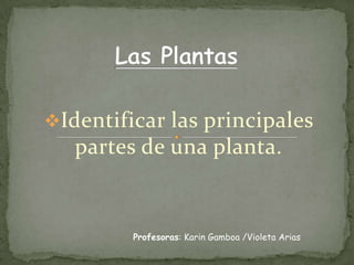 Identificar las principales
partes de una planta.
Profesoras: Karin Gamboa /Violeta Arias
 
