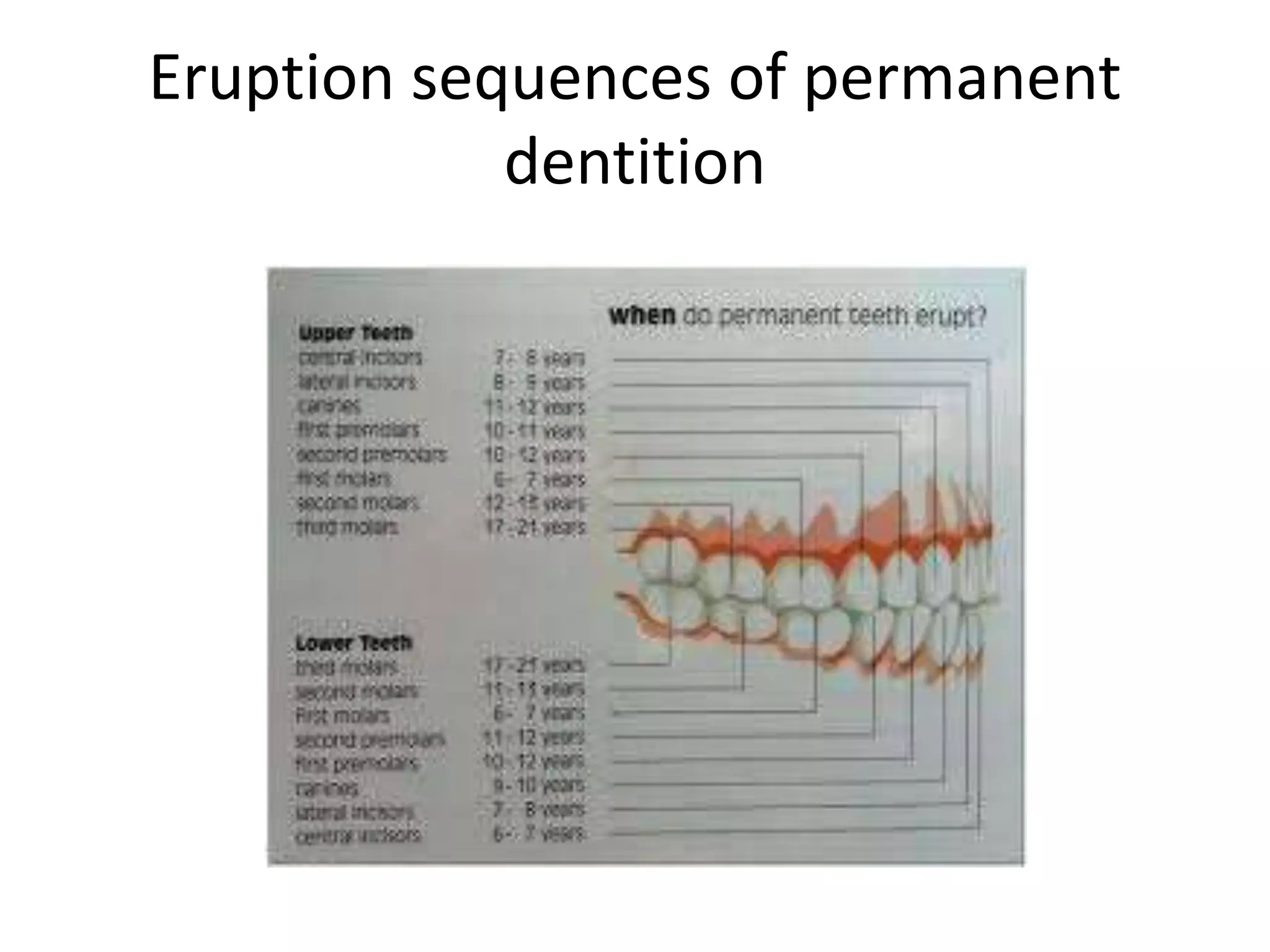 Eruption sequences of permanent
dentition
 