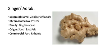 Identification of different spices .pptx