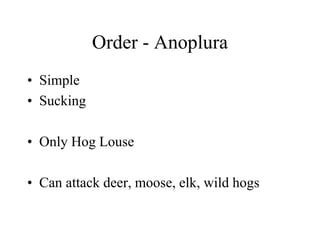 Order - Anoplura
• Simple
• Sucking
• Only Hog Louse
• Can attack deer, moose, elk, wild hogs
 