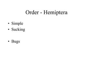 Order - Hemiptera
• Simple
• Sucking
• Bugs
 