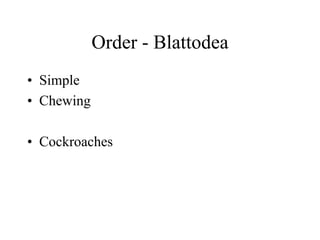 Order - Blattodea
• Simple
• Chewing
• Cockroaches
 
