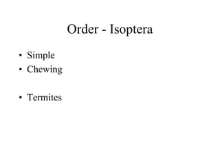 Order - Isoptera
• Simple
• Chewing
• Termites
 