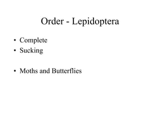 Order - Lepidoptera
• Complete
• Sucking
• Moths and Butterflies
 