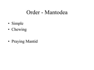 Order - Mantodea
• Simple
• Chewing
• Praying Mantid
 