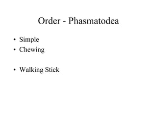 Order - Phasmatodea
• Simple
• Chewing
• Walking Stick
 