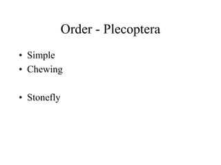 Order - Plecoptera
• Simple
• Chewing
• Stonefly
 