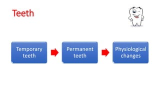 Teeth
Temporary
teeth
Permanent
teeth
Physiological
changes
 