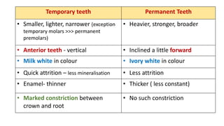 Temporary teeth Permanent Teeth
• Smaller, lighter, narrower (exception
temporary molars >>> permanent
premolars)
• Heavier, stronger, broader
• Anterior teeth - vertical • Inclined a little forward
• Milk white in colour • Ivory white in colour
• Quick attrition – less mineralisation • Less attrition
• Enamel- thinner • Thicker ( less constant)
• Marked constriction between
crown and root
• No such constriction
 