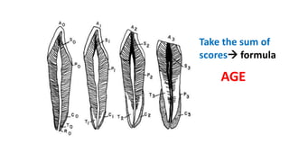 Take the sum of
scores formula
AGE
 