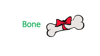 Bone
 