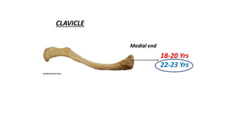 CLAVICLE
Medial end
18-20 Yrs
22-23 Yrs
 