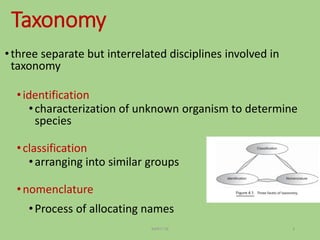 Identification and classificatin of prokaryotes class | PPTX