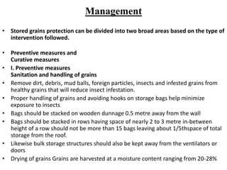 Identification and damage to store grain by coleopteran pests and its ...
