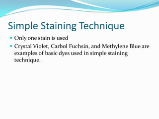 Simple Staining Example Identification And Differentiation Of Microorganisms | PPTX